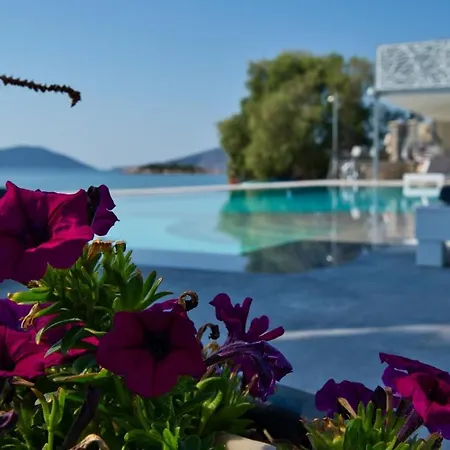 Dardiza Boutique Hotel *