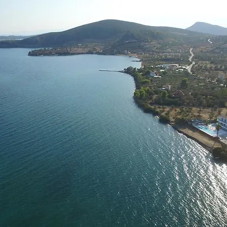 Hotel Dardiza Boutique *