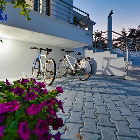 Hotel Dardiza Boutique Hermione