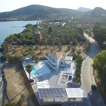 酒店 Dardiza Boutique *