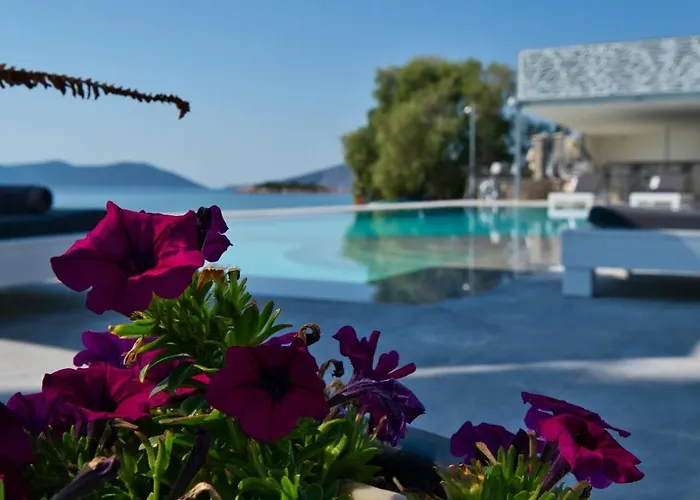 Dardiza Boutique מלון *