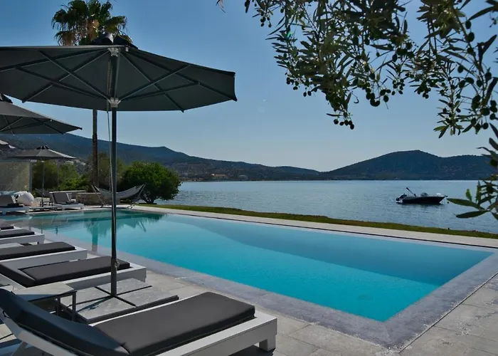 Dardiza Boutique ארמיוני